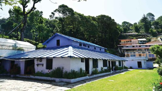 Jai-Hari-Jungle-Homestay-Jaiharikahl