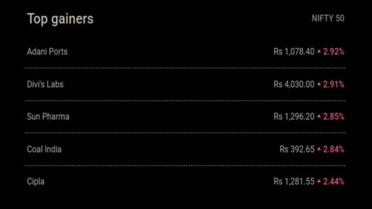 Top Gainers Adani Ports Divi's Labs Sun Pharma Coal India Cipla