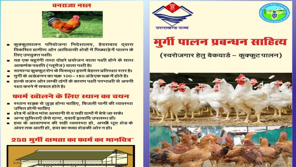 Murgi-Palan-Poultry-Management