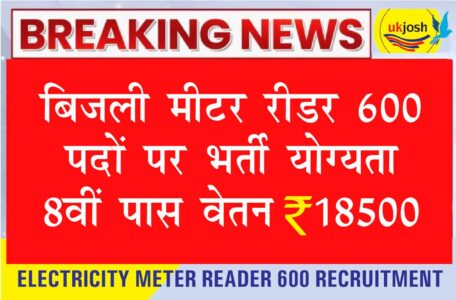 Electricity-Meter-Reader-600-Recruitment-2024