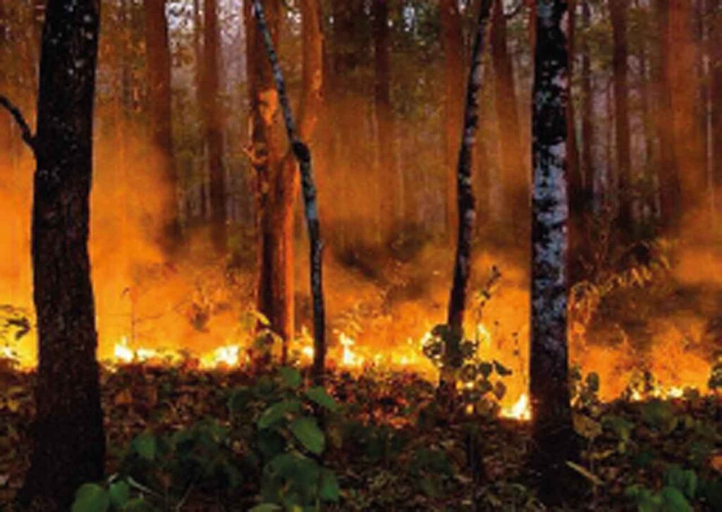 Uttarakhand-Forest-Fire