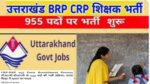 crp-brp-955-posts-recruitment-process-Recruitment process for 955 posts of CRP-BRP