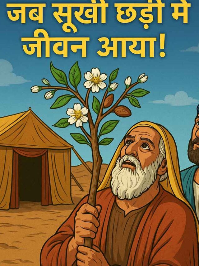 हारून की सूखी छड़ी में जीवन: एक चमत्कारी गवाही